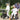 VOCIC Z51 Shift Combo 2-in-1 Rollator und Transportstuhl für Senioren mit klappbarer Bauweise und bequemer Sitzfläche