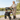 Leichter und zusammenklappbarer Rollator (Gebraucht)