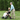 VOCIC Z51 2-in-1 Rollator mit Transportstuhl-Funktion